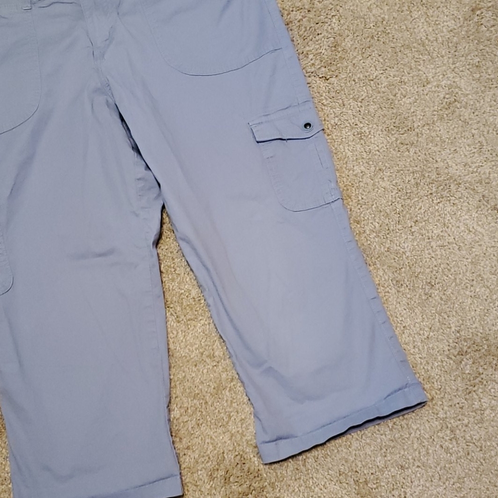 Capris - Picture 2 of 6